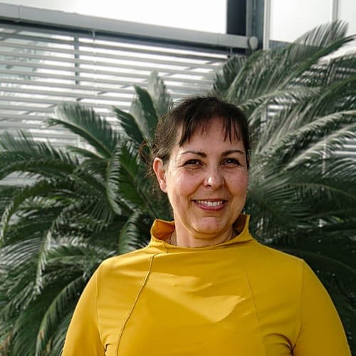 Baugutachter Lengerich